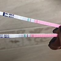 16号经期，刚验了验排卵试纸弱阳，为什么呢