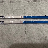 今天月经期，这是测有了吧