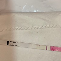 请帮忙看看，我这个是有还是没有啊？