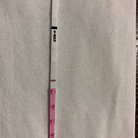 明天月经日，今天好像有模糊的一杠，不知道是不是太想有孩子了，心理作用，麻烦大家帮忙看看。半年前一...