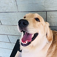 整个孕期到目前胖了40斤 96-136斤，所以坐月子的时候迫切想恢复从前的身材，有没有生过的宝妈愿意分享自...