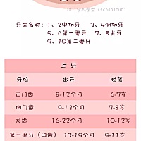 我是心大的妈妈 娃娃一岁半，走路已经是奔跑了，可是不说话啊 长了前面8颗切牙➕序号6下磨牙2颗➕序号7...