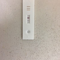 同房后十天，这是中了嘛？也不知道准不准确。