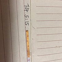 排了吗排了吗排了吗排了吗？