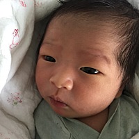 宝宝刚出生 不喂用母乳喝合生元金装 1段 这个奶粉好吗？感觉有点甜 宝妈们都给新生婴儿喝什么奶粉