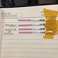 白带拉丝是已经排卵还是快要排卵？ 今天是排卵期的第一天 排卵试纸测了三天了。都是弱阳  已经有白带透...