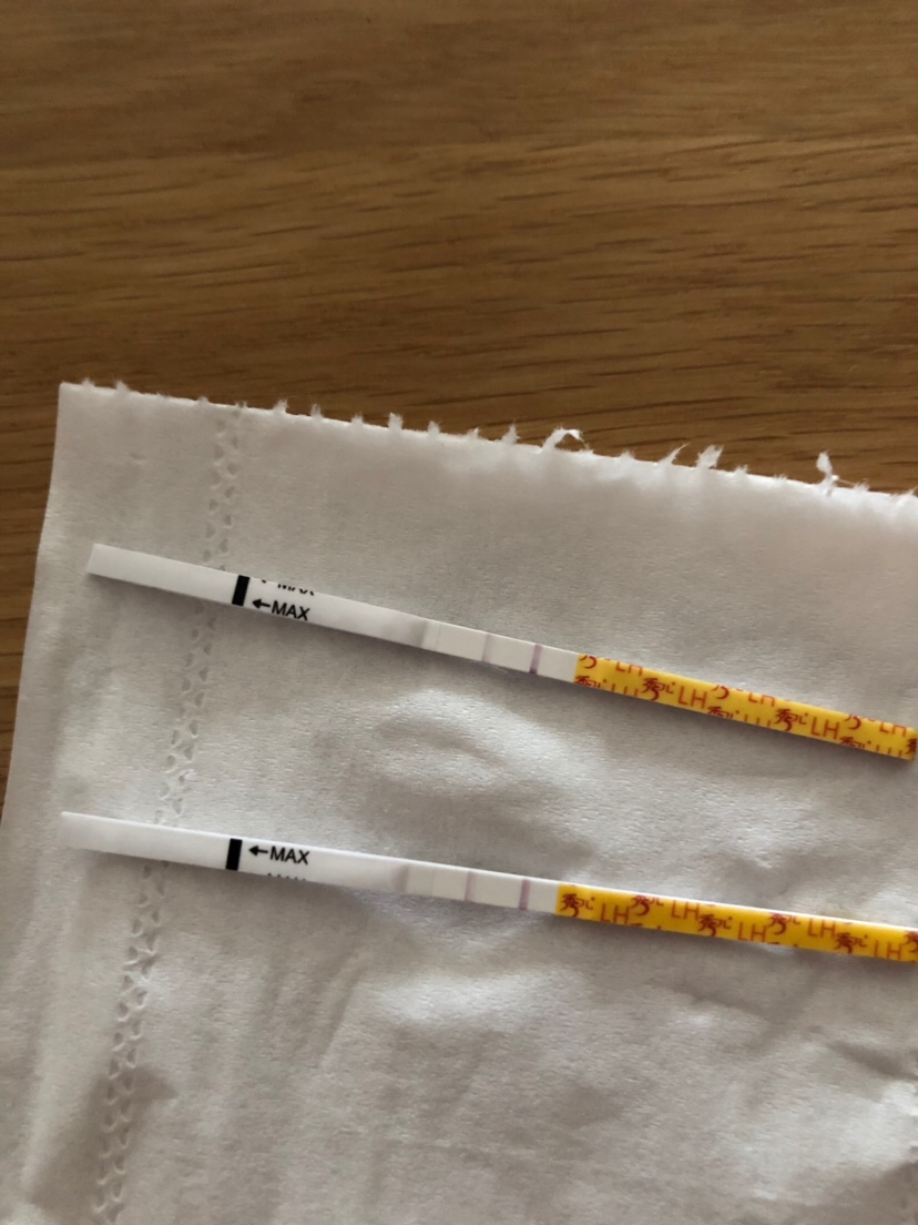 咨询下各位有经验的朋友，大姨妈刚完第二天测试排卵，就显示两根线了，初次用这个试纸不是很清楚？