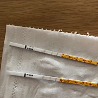 咨询下各位有经验的朋友，大姨妈刚完第二天测试排卵，就显示两根线了，初次用这个试纸不是很清楚？