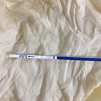 月经一直不准，本来一号来的，现在推迟了，帮忙看下是不是有了