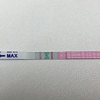 朋友们，排卵试纸测试的这个是代表排卵了吗？