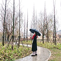 这个礼拜周大贤出差，然后我就回我妈妈家住几天。今天早上起来去小公园散步，呼吸一下新鲜空气，毕...