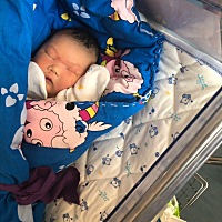 小肥肥出生3天了