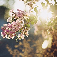 月经期间爱拉肚子，你怎么了？ 不少女性月经期间会拉肚子，是什么原因造成的呢？快跟小编一起了解一下吧...