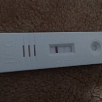 不知道是不是怀孕了请大家帮我看一下