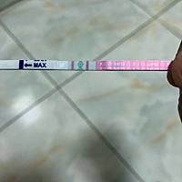 这是不是强阳了，马上排卵了