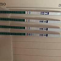 日常一测，大家来接宫内好孕！末次月经1222估计排卵期提前了，估计月初排卵了，13就测出意念灰，希望继...