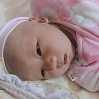 我真佩服我爸爸、我折腾妈妈一个多小时了、他还在旁边说梦话打呼噜……