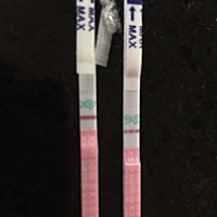 亲爱的朋友们，我是不是有了啊！可以帮我看看吗！我距离月经还有10多天