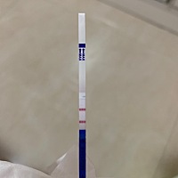 12.16号来的大姨妈，今早上测的两杠。好孕了吗？