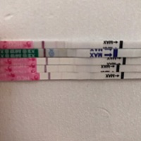 从下往上，分别是排卵后第9.第10，第11，.第12天，最后一天测了两条，能感觉越来越深，不放心，去做了血...