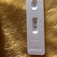 哈哈，好开心， 二宝哦、