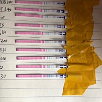 大家 帮我看看。排卵试纸现在刚刚强阳。我昨天晚上凌晨一点同房了。有怀孕的可能吗？