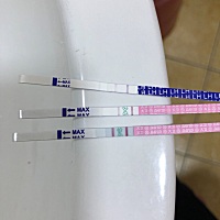 大卫的排卵试纸准确吗？这个是强阳了吧？今晚同房来得及不，一直都没同房，想怀二胎！