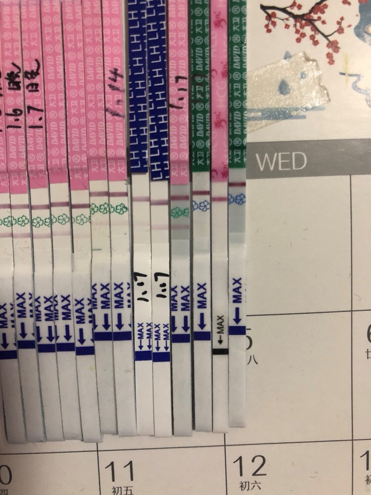 右边倒数第三根是干了的 后面两根是我又测了一下 感觉自己要瞎了