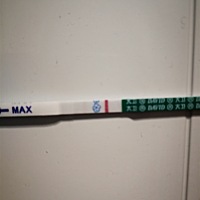 还有3天就来例假了，看上去还是大白板