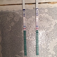 不知道是不是怀孕了，刚刚测的。