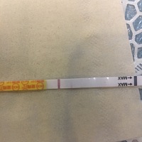 就这两天来例假 什么反应都没有 但是测出来这个 不知道会不会怀孕