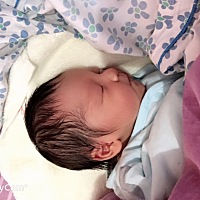 农历12月11，男宝一枚、一直以来都以为是女孩子，结果是我的小情人，余生有你足以，愿你健康快乐成长