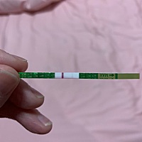 例假正常来是17号，但是还没来，这几天小腹有点痛，腰痛，刚刚测了一下，这个算不算怀孕了？