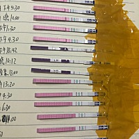 昨天18号排卵日。检查阴超卵泡18*16。强阳。今天19号 排卵试纸淡了一点。是排卵了吗？  17号晚上 同房了...