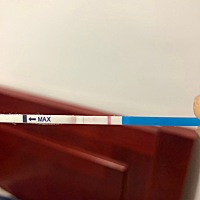 影影约约的看见一丝红的，这是有了吗？