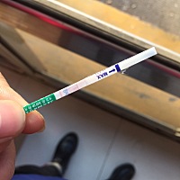 27号的好事，帮忙看看是不是有