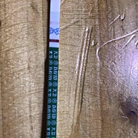 看看是不是中了，还有4天才来月经日。