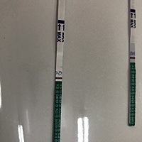 试纸有一点印，有怀孕可能吗？1月10来月经，15号结束，18号同房一次！试纸坏了？