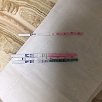 本来想要二孩想的比较晚，没避孕2年一直没有，2017年底决定试管，2018上半年3次试管都以胚胎不着床失败...