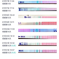 大家帮我看一下这是排卵了吗？