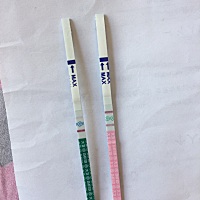 备孕1年多，到处治疗，去医院检查卵泡发育不良（根本不长，偶尔长好了不排，黄素化）促排2次没怀，又喝...