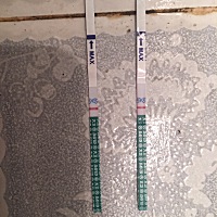 11月23日12月20日都超级准时每个月都会提前一两天这次到今天还没来，好像是真的怀孕了，还有点不确定！...