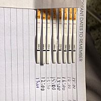 这是排没排啊 排卵试纸都8天还是这样没有强阳  体温也没有上去  这是几个意思啊 心塞 心累