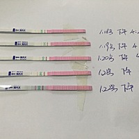 今天好像终于看点希望了！看看是强阳还是弱阳！是继续测呢！还是可以安排同房了呢！