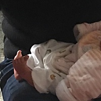 请问各位妈妈们，宝宝出生到现在，脚一直向上弯起，有时候两只脚板还会交叠在一起，脚感觉有些硬，想帮...