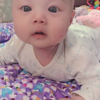 快四个月宝宝学会翻身之后睡觉不踏实，一两个小时就醒，还喜欢吃手，怎么办！！！！！