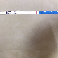 这是怀孕了吗？怎么那么浅呀？