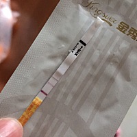 备孕的第四个月，本有点灰心这个月也没抱什么希望！12.24月经期日，1.6号半定量测到已排卵，就安排了一...
