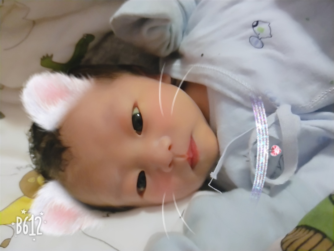 第八天