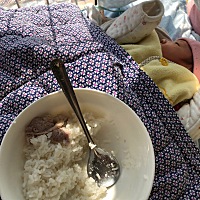 大家做月子每天都是吃什么菜的，我做月子家婆只瘦肉汤，有时鸡肉排骨汤我觉得太油，每餐我吃一大碗...